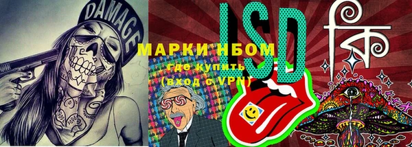 трава Богданович