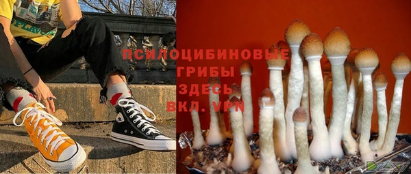 герыч Богородицк