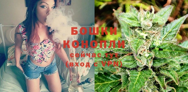 трава Богданович